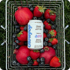 Variety Pack (3 cans per flavor)